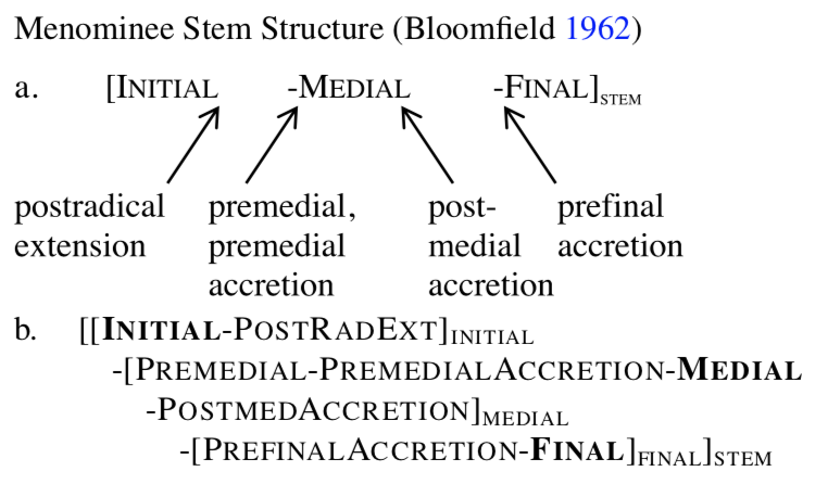 Menominee Stem Structure